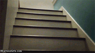 Гифка Мопс поднимается по лестнице