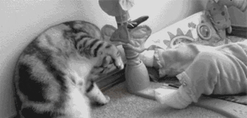 Гифка Кошка показывает младенцу как вставать на голову