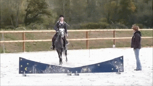 Гифка Лошадь не хочет прыгать через барьер