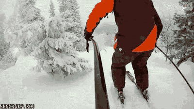 Гифка Спуск на лыжах