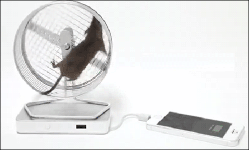 Гифка Крыса в колесе заряжает смартфон