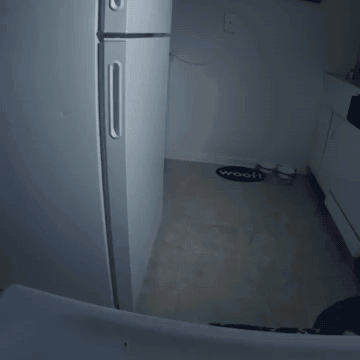 Гифка Призрак холодильника