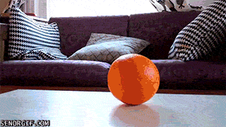 Гифка Собака с апельсином