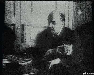 Гифка Ленин с котом