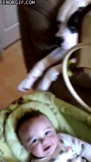 Гифка Собака качает младенца