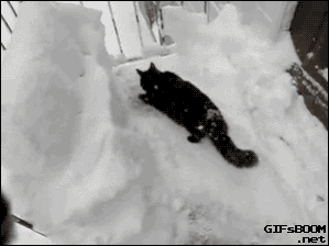 Гифка Помогаем коту прыгнуть в снег