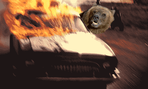 Гифка Медведь в горящей машине