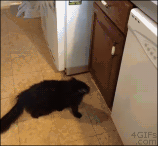 Гифка Умный кот открывает пользуется дверью для прыжка