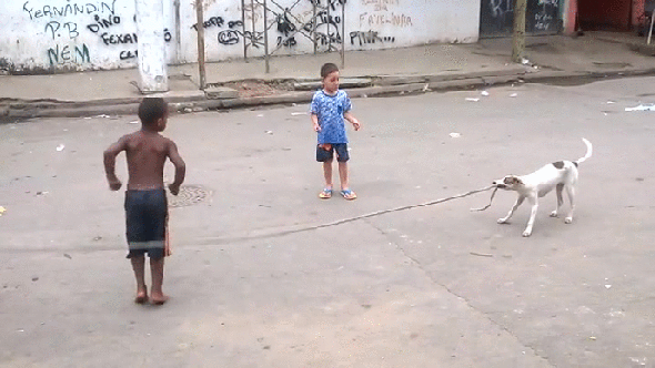 Гифка Собака помогает играть со скакалкой