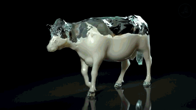 Гифка Корова с молоком