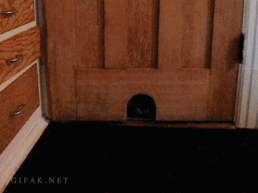 Гифка Дверь для кота