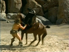 Гифка Арнольд Шварценеггер даёт лошади по морде