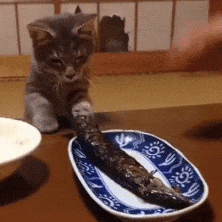 Гифка Кот пытается украсть рыбу