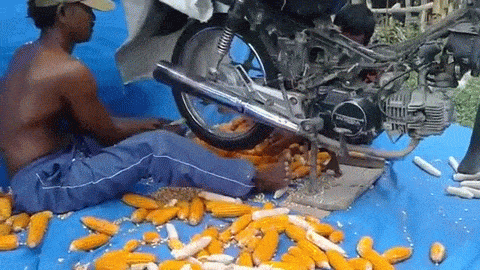 Гифка Очистка кукурузы мотоциклом