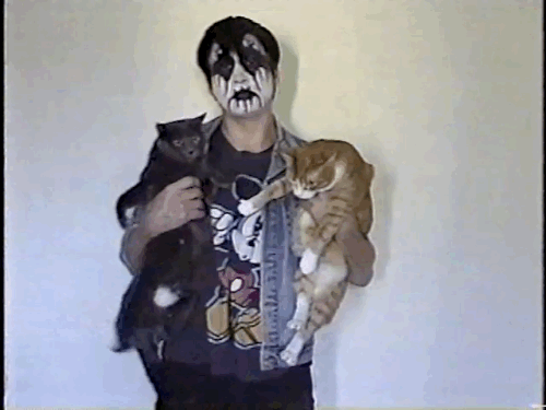 Гифка Блек-метал и котики