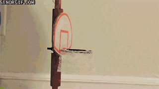 Гифка Крыса играет в баскетбол
