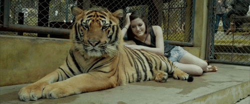 Гифка Девушка с тигром