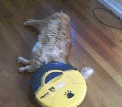 Гифка Робот-пылесос мешает коту спать