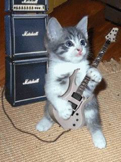 Гифка Котёнок играет соло на гитаре