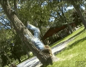Гифка Паркуристы штурмуют дерево