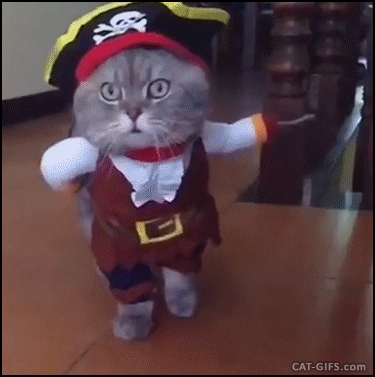 Гифка Кот-пират
