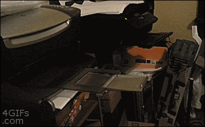 Гифка Кот отправляет факс