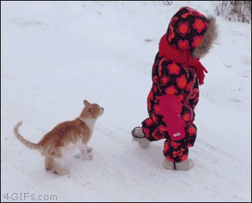 Гифка Котёнок повалил ребёнка на снег