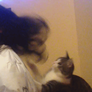 Гифка Кошка кусает за волосы