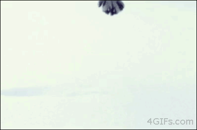 Гифка Кот прыгает в снег
