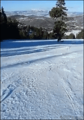 Гифка Просто снежный барс на горнолыжном склоне