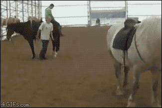 Гифка Прыжок на лошадь сзади