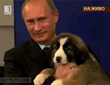 Гифка Путин обнимает щенка