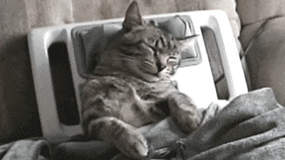 Гифка Кот на массажной подушке