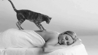 Гифка Кот делает массаж