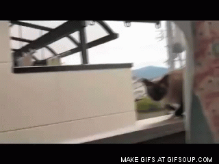 Гифка Кот прыгает с подоконника