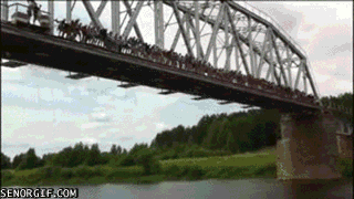 Гифка 135 человек прыгает с моста