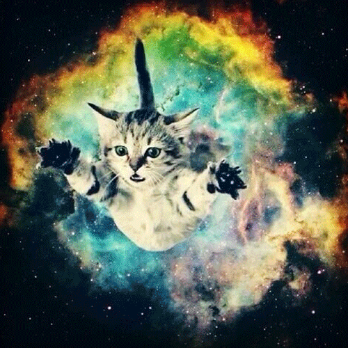 Гифка Котёнок в космосе