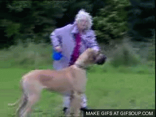 Гифка Бабушка полетела вслед за собакой