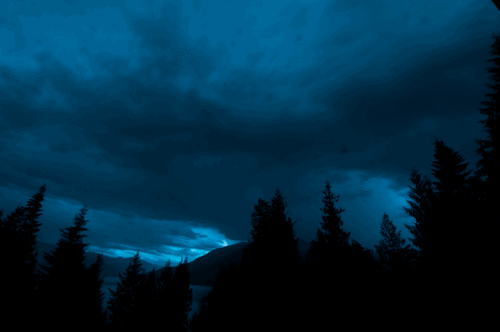 Гифка Гроза над ночным лесом