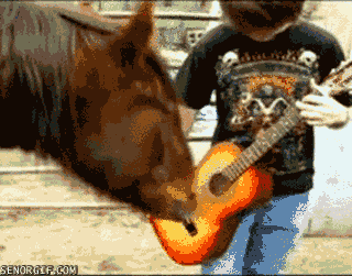 Гифка Лошадь играет на гитаре