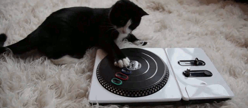 Гифка DJ Kot