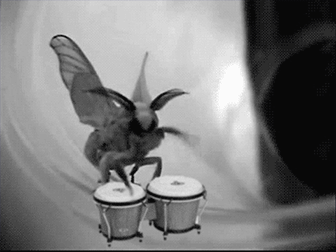 Гифка Пчела играет на бонгах