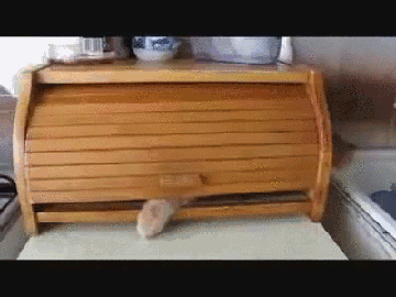 Гифка Кошка в хлебнице