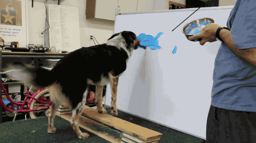 Гифка Собака рисует картину