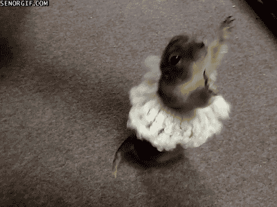Гифка Бурундук танцует