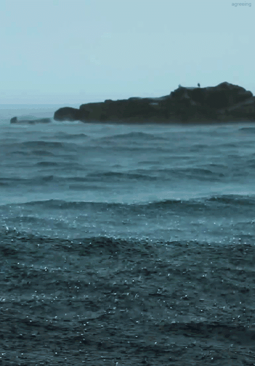 Гифка Дождь на побережье