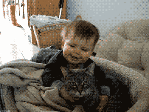 Гифка Ребёнок и кот