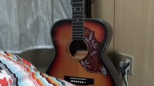 Гифка Кот живёт в гитаре