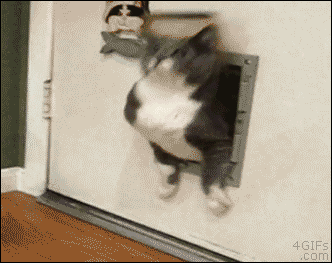 Гифка Толстый кот пролезает в узкую дверь