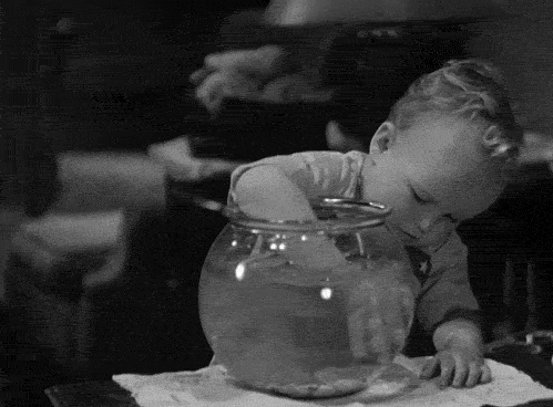Гифка Мальчик и аквариум